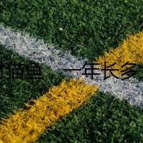 招財(cái)貓魚(yú)，一年長(zhǎng)多大？