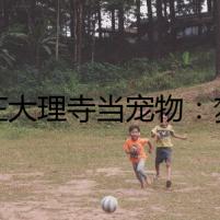我在大理寺當寵物：夢回千年尋真相