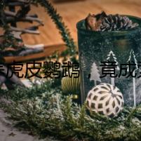 手養(yǎng)虎皮鸚鵡，竟成索命的根源