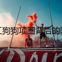 手工狗狗項(xiàng)圈背后的陰謀