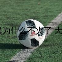 李晨為什么不火了 大黑牛在跑男口碑盡失發(fā)生了什么