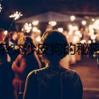 雜交沙皮狗的秘密