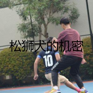 松獅犬的機密