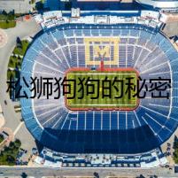 松獅狗狗的秘密