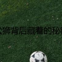 松獅背后藏著的秘密