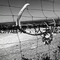 松獅追魂：認(rèn)主疑云