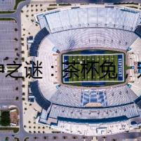 杯中之謎：茶杯兔，寵物還是死亡預(yù)兆？