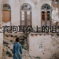 杜賓狗耳朵上的詛咒