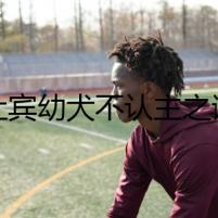 杜賓幼犬不認(rèn)主之謎