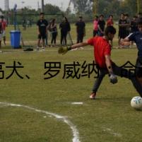 杜高犬、羅威納：命運的追蹤