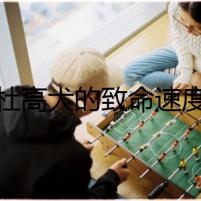 杜高犬的致命速度