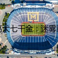 杜高犬七千金：迷霧重重