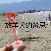 放羊犬的禁忌