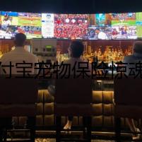 支付寶寵物保險驚魂夜