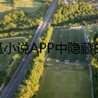 搜狐小說(shuō)APP中隱藏的恐怖
