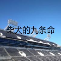 柴犬的九條命