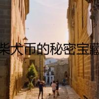 柴犬幣的秘密寶藏