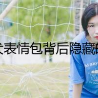 柴犬表情包背后隱藏的真相