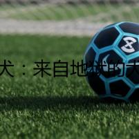 柴犬：來自地獄的犬神