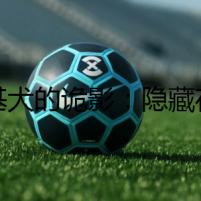 柯基犬的詭影：隱藏在暗處的秘密