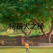 柯基犬之秘
