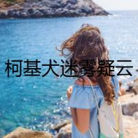 柯基犬迷霧疑云