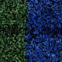 柯基斷尾之謎：暗藏的陰謀