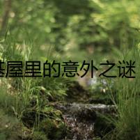 柯基屋里的意外之謎：消失的小狗