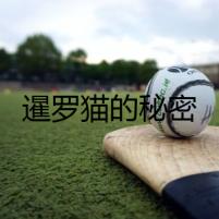 暹羅貓的秘密