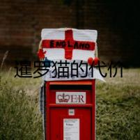 暹羅貓的代價