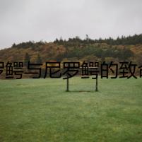 暹羅鱷與尼羅鱷的致命區(qū)別
