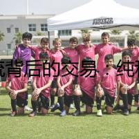 暗流背后的交易：純種杜高幼犬的黑市驚魂