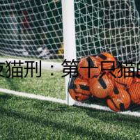暗夜貓刑：第十只貓的詛咒
