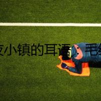 暗夜小鎮(zhèn)的耳語(yǔ)：毛絨兇手