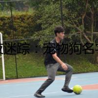 暗夜迷蹤：寵物狗名字中的秘密