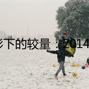 暗影下的較量:2014俄烏戰(zhàn)爭的懸疑疑云