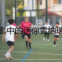 暗影中的迷你雪納瑞犬