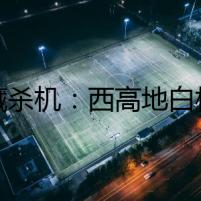 暗藏殺機：西高地白梗的離奇剪毛事件