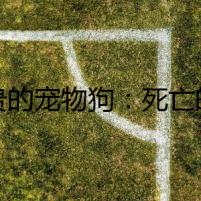 最貴的寵物狗：死亡的遺產(chǎn)