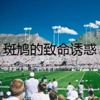 斑鳩的致命誘惑