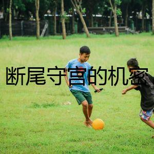 斷尾守宮的機密