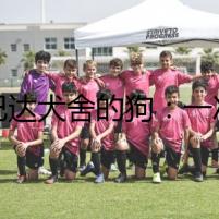斯巴達(dá)犬舍的狗：一次離奇的冒險(xiǎn)之旅