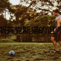 斯芬克斯貓的詛咒