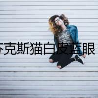 斯芬克斯貓白皮藍(lán)眼：迷霧中的詭秘交易