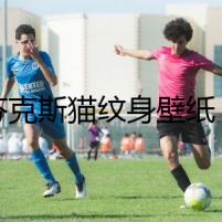 斯芬克斯貓紋身壁紙：失蹤的模特