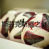 斯芬克斯貓之謎