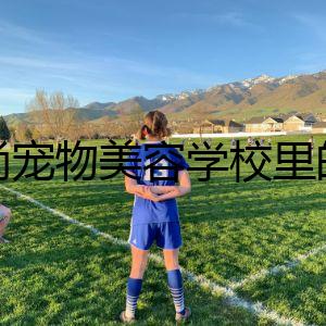時(shí)尚寵物美容學(xué)校里的暗影