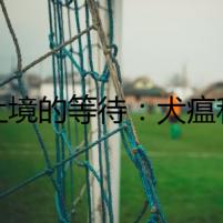 無止境的等待：犬瘟和細(xì)小疫苗的詛咒