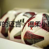 無(wú)聲的證言：溫柔小型犬的生死之謎