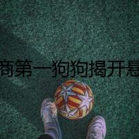 智商第一狗狗揭開懸案